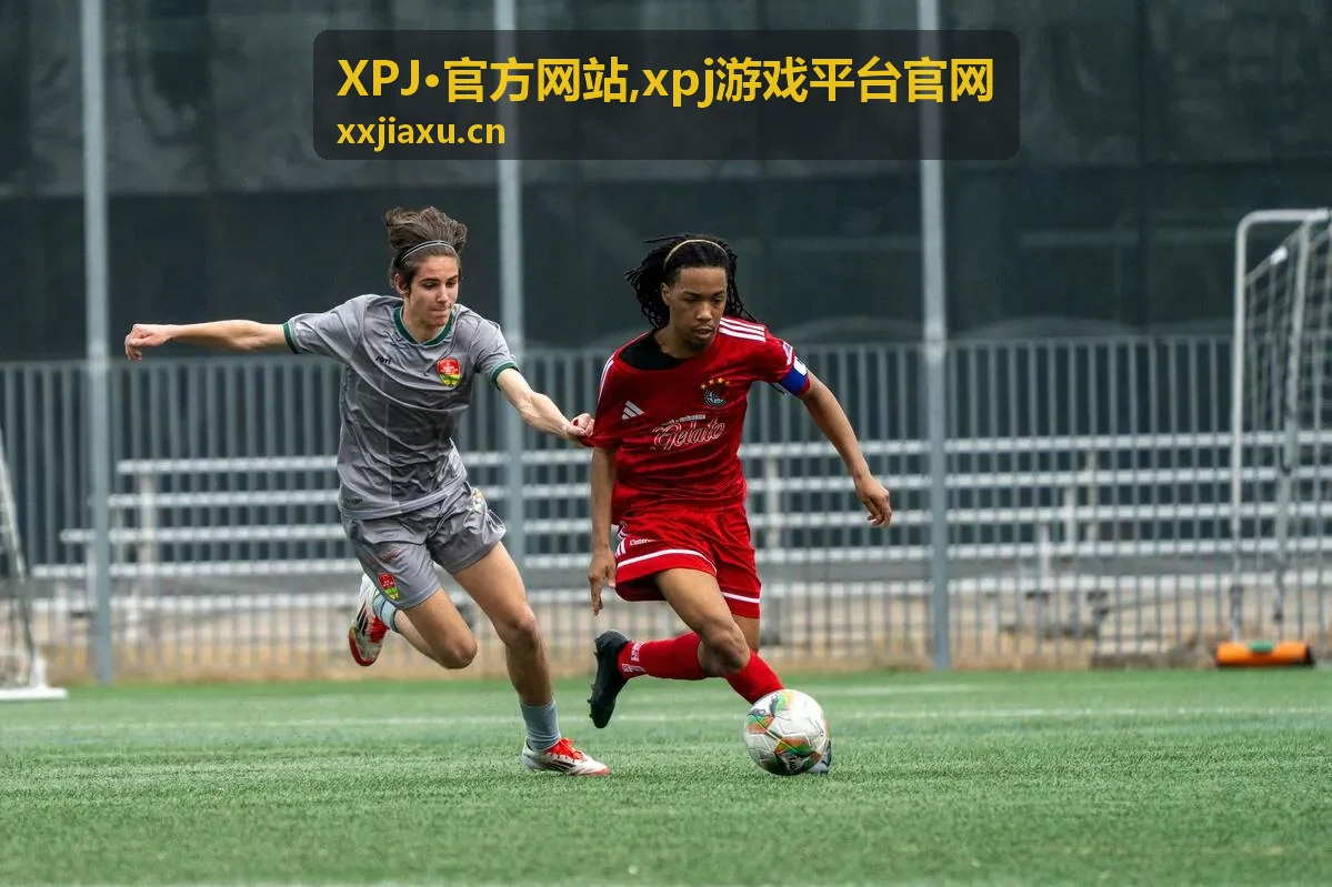 XPJ·官方网站内容聚合封面图
